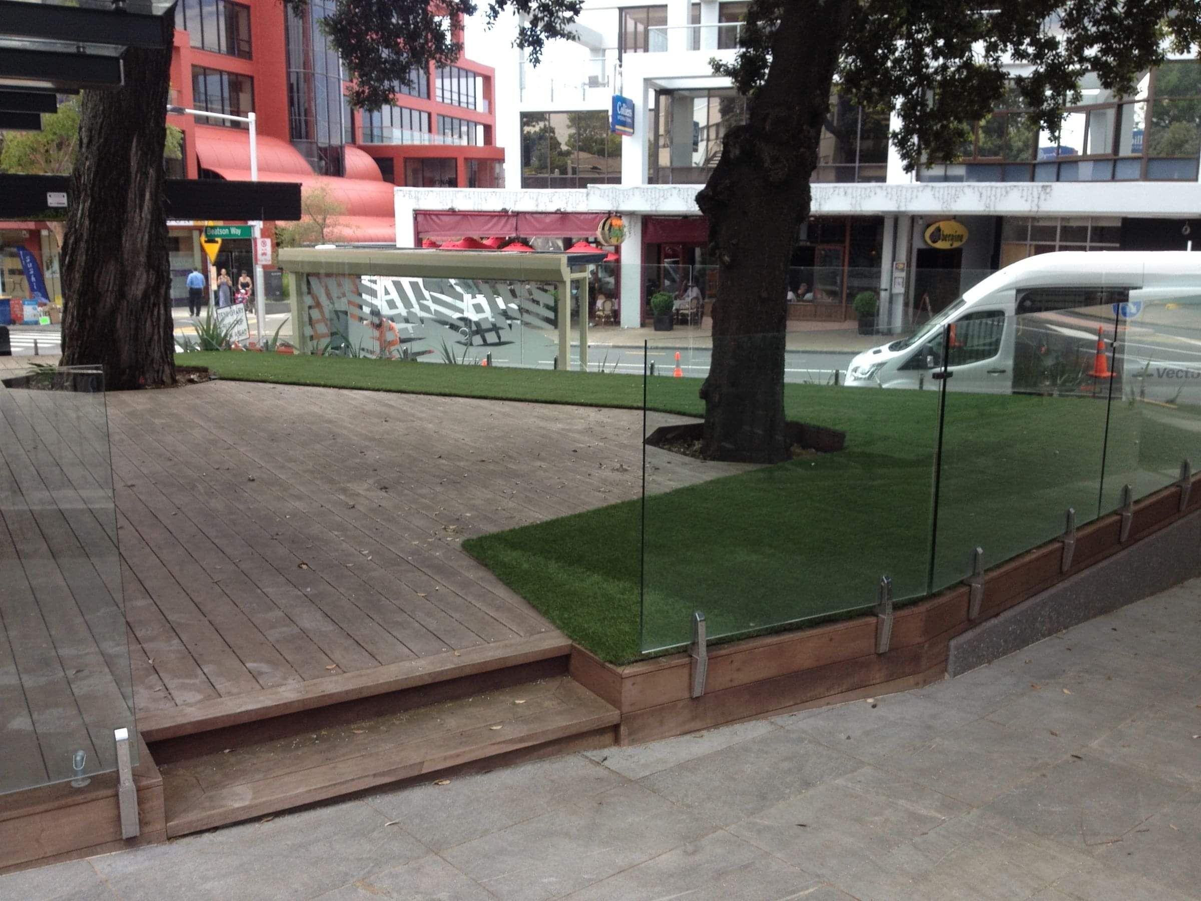 Never Mow lawn example