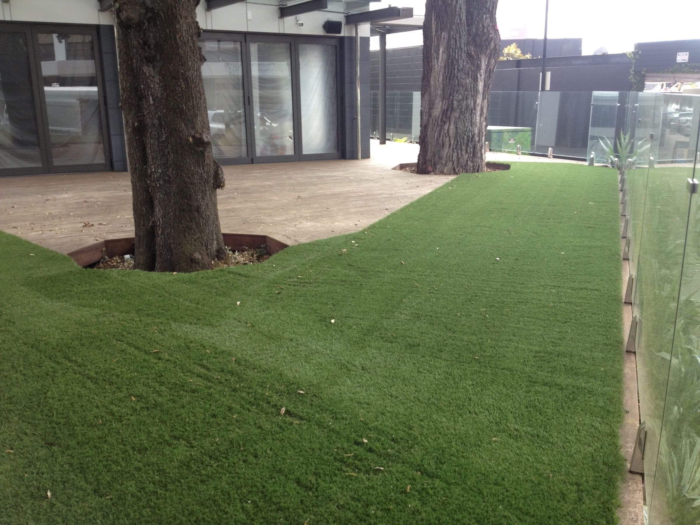 Never Mow in Takapuna