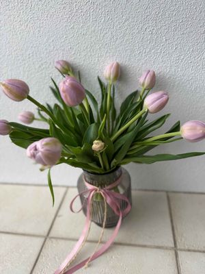 A Tulip for You