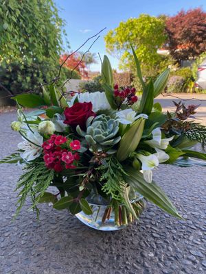 Christmas Botanical Vase Flowers- from