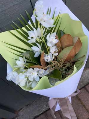 Orchid Stems Gift Wrapped