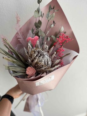 Perfect Protea Love