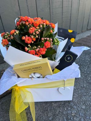 A Sunshine Gift Box