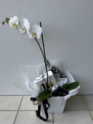 Graceful beauty - Gift Box for MUM