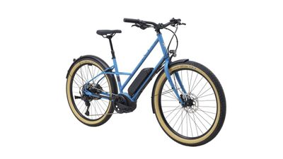 Marin Larkspur  E