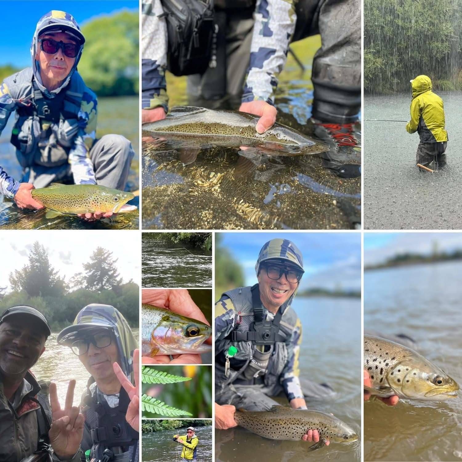 Waikato Fly Fishing Guide