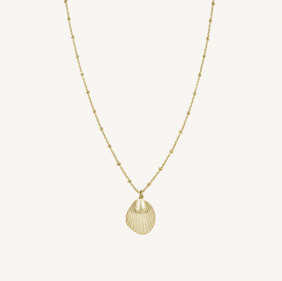 ROSEFIELD Shell &amp; Pearl Necklace - Gold