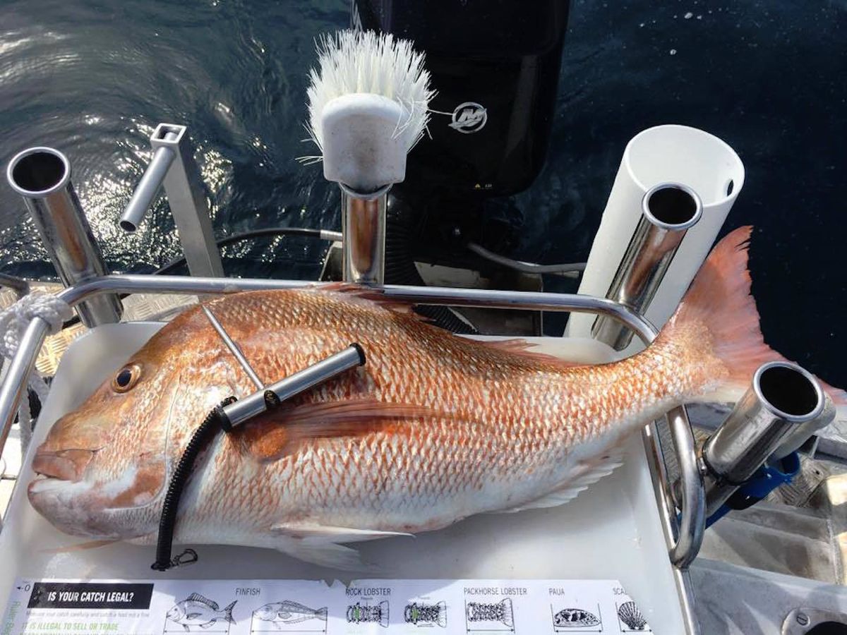 Rusler Fishing Gear  IKI Tool with Lanyard & S/S swivel Clip