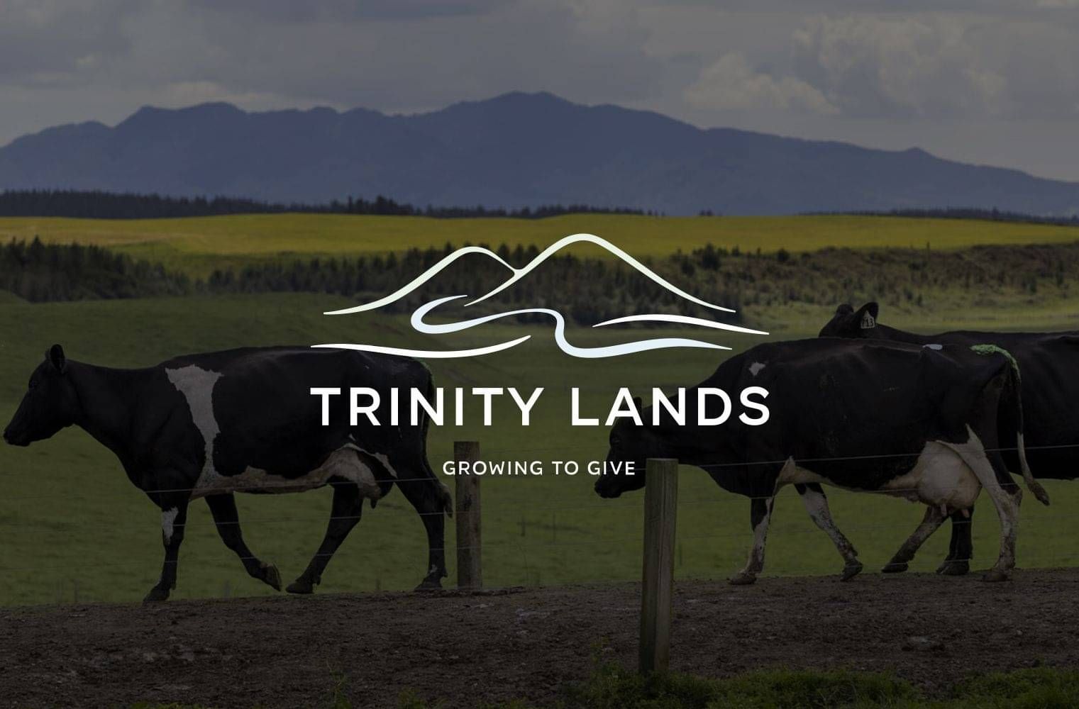 Trinity Lands, Lichfield Lands, Longview Trust and Hillview Trust all partner with CCCNZ