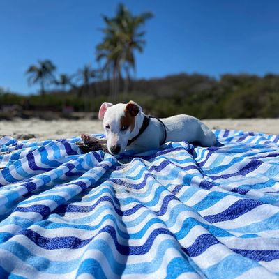 A Mexican Beach Blanket - La Esther