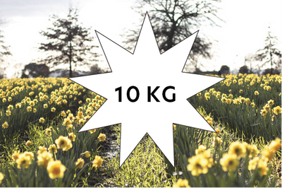 Natural Mix &mdash; Special 10kg (delivered March 2024)