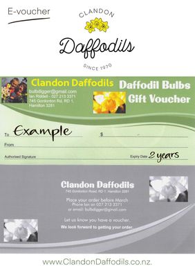 Gift Vouchers