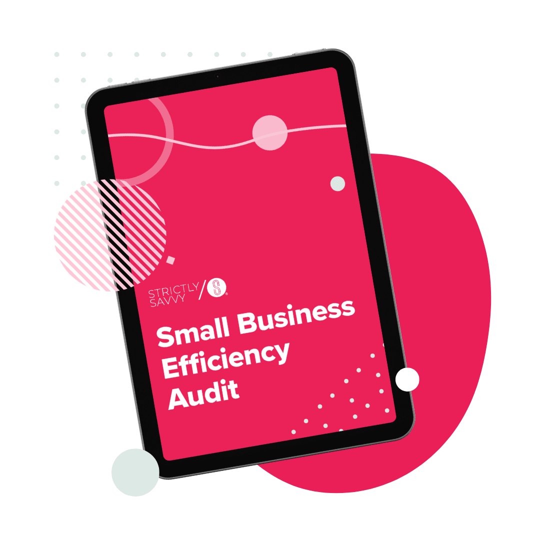 Tablet showing the cover for "Small Business Efficiency Audit" with pink and light green accents as background