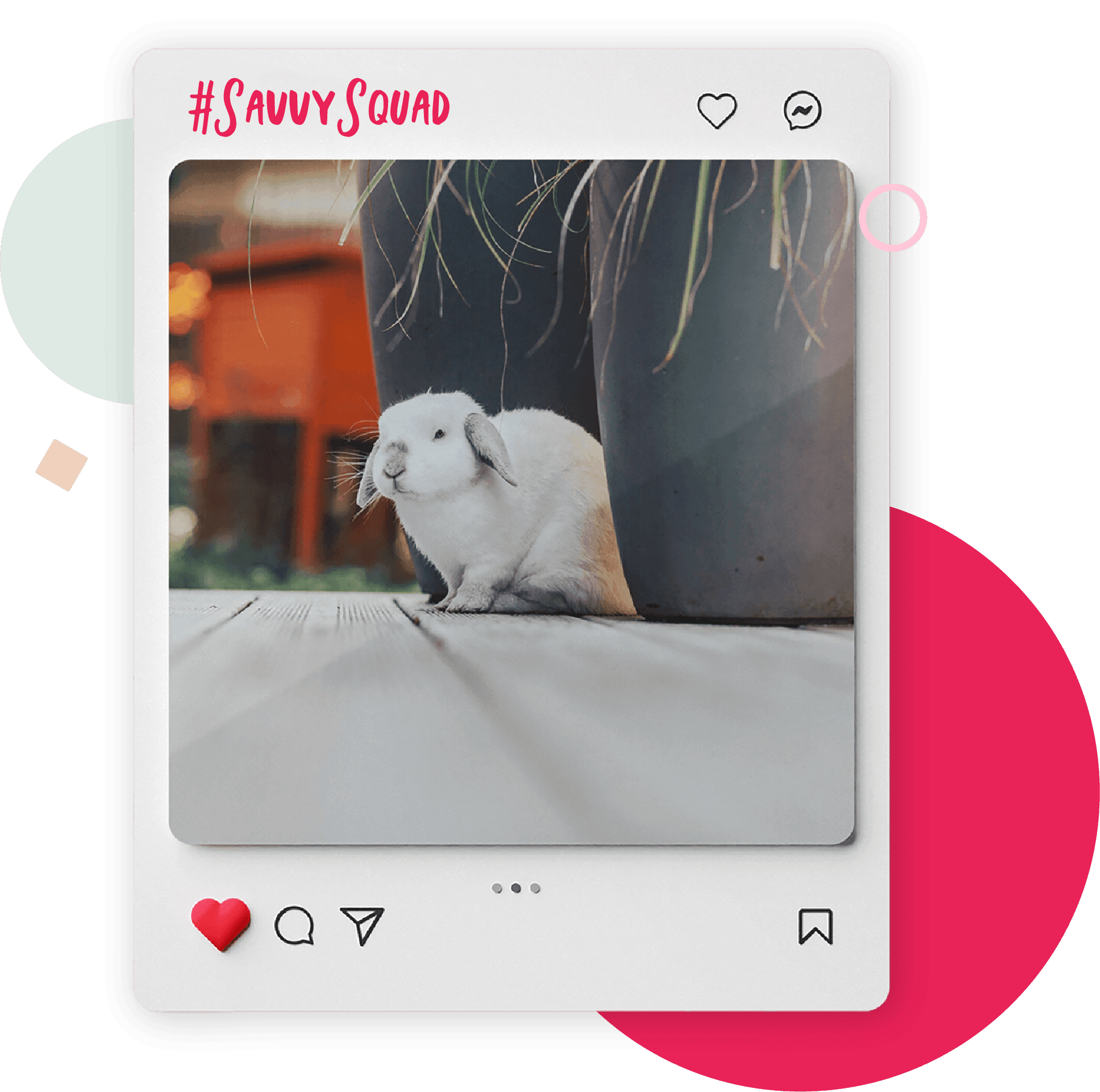 White rabbit sitting on a wooden deck near potted plants, displayed within a stylised Instagram post with "#SavvySquad" and pink graphic accents