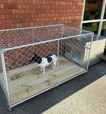 ⚡️Priority Order - Faster Delivery!  Medium Dog Kennel and Run