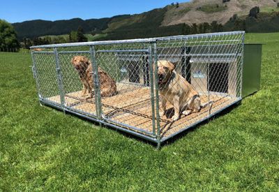 ✅ PRE-ORDER and SAVE 10% 🎉  Triple Dog Kennel and Run