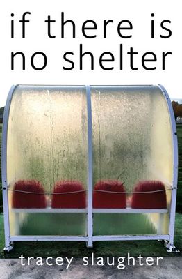 Tracey Slaughter&#039;s &#039;if there is no shelter&#039;