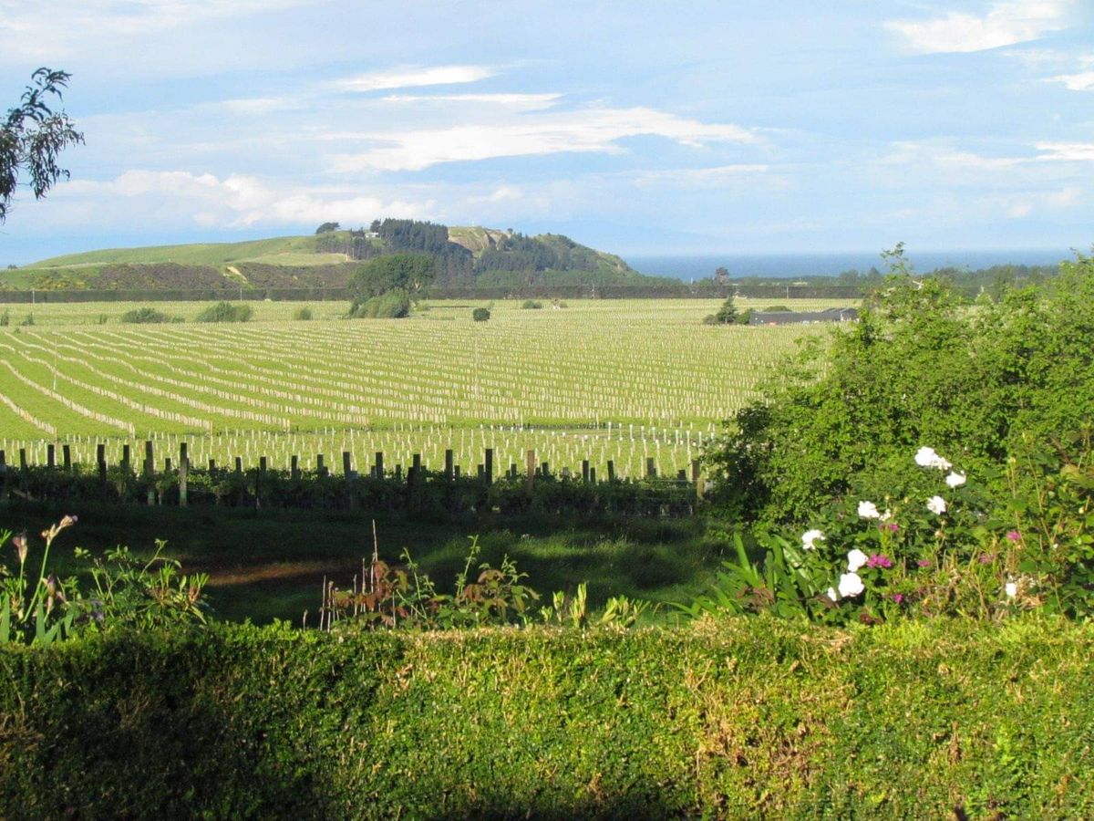 Ugbrooke Country Estate in Lower Dashwood, New Zealand