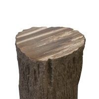 Petrified wood stump side table