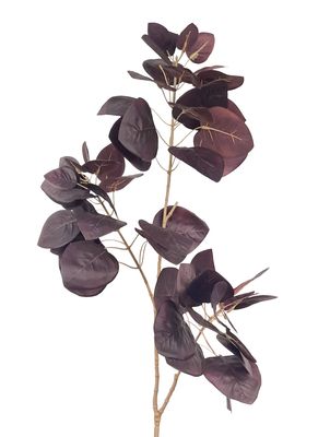 Purple/black smoke tree