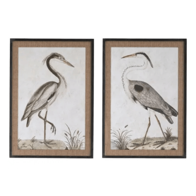 Art - Seabirds - Glass Framed Print 100 x 70