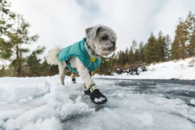 RUFFWEAR Summit Trex Boots