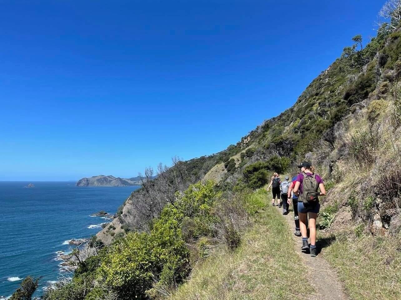 North Island hiking tour