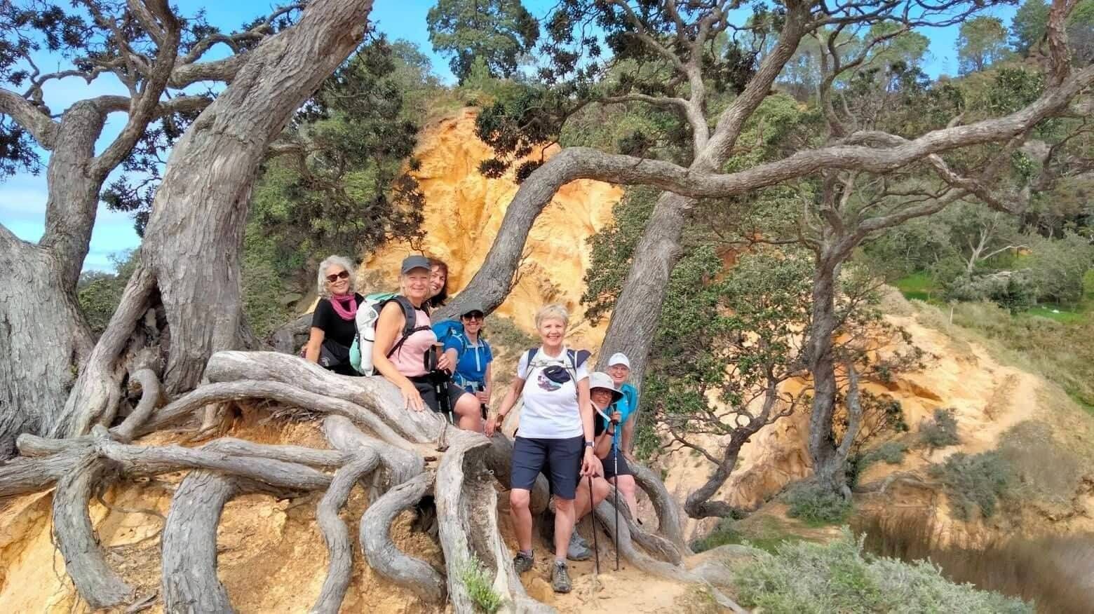 North Island hiking tour