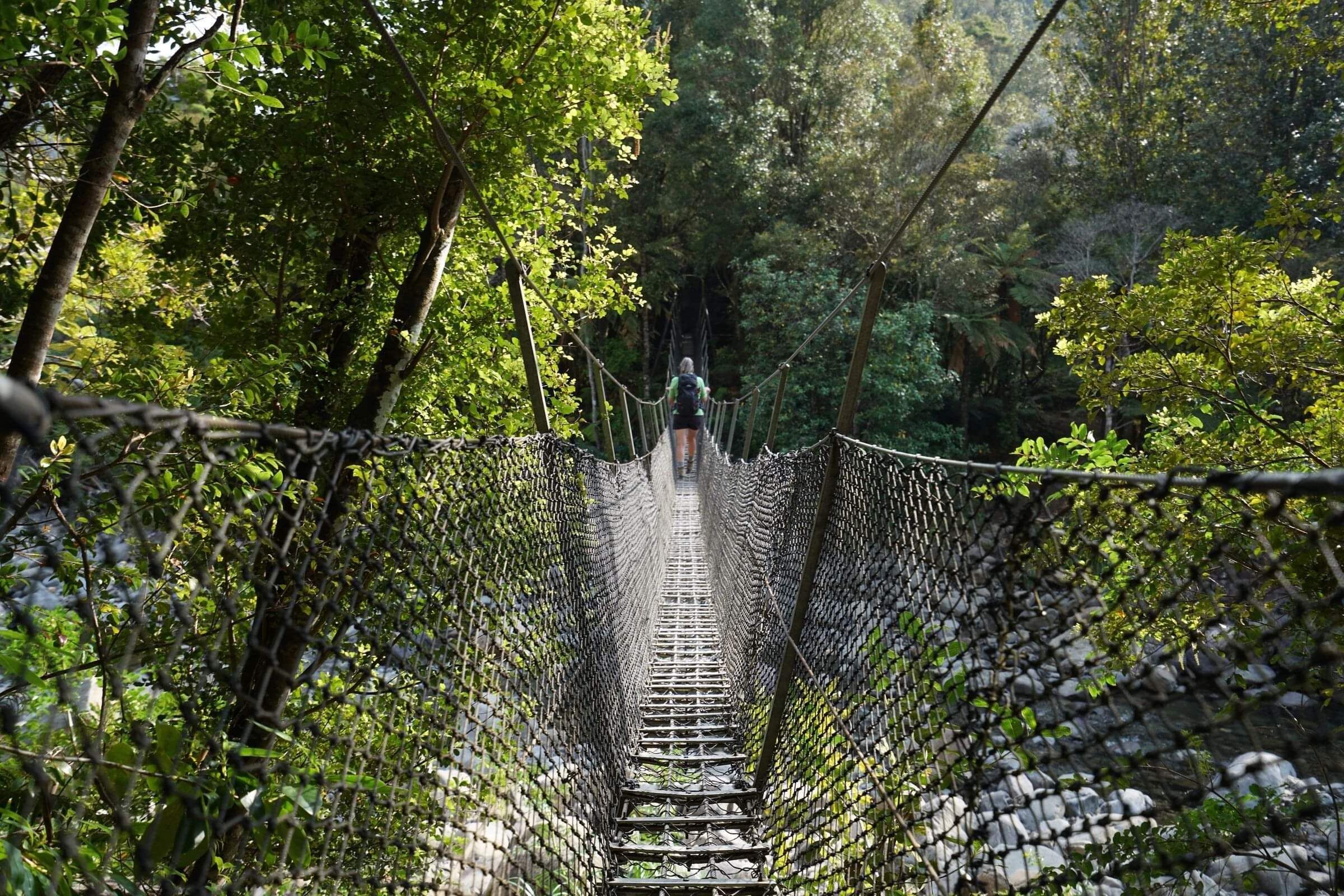 North Island hiking tour