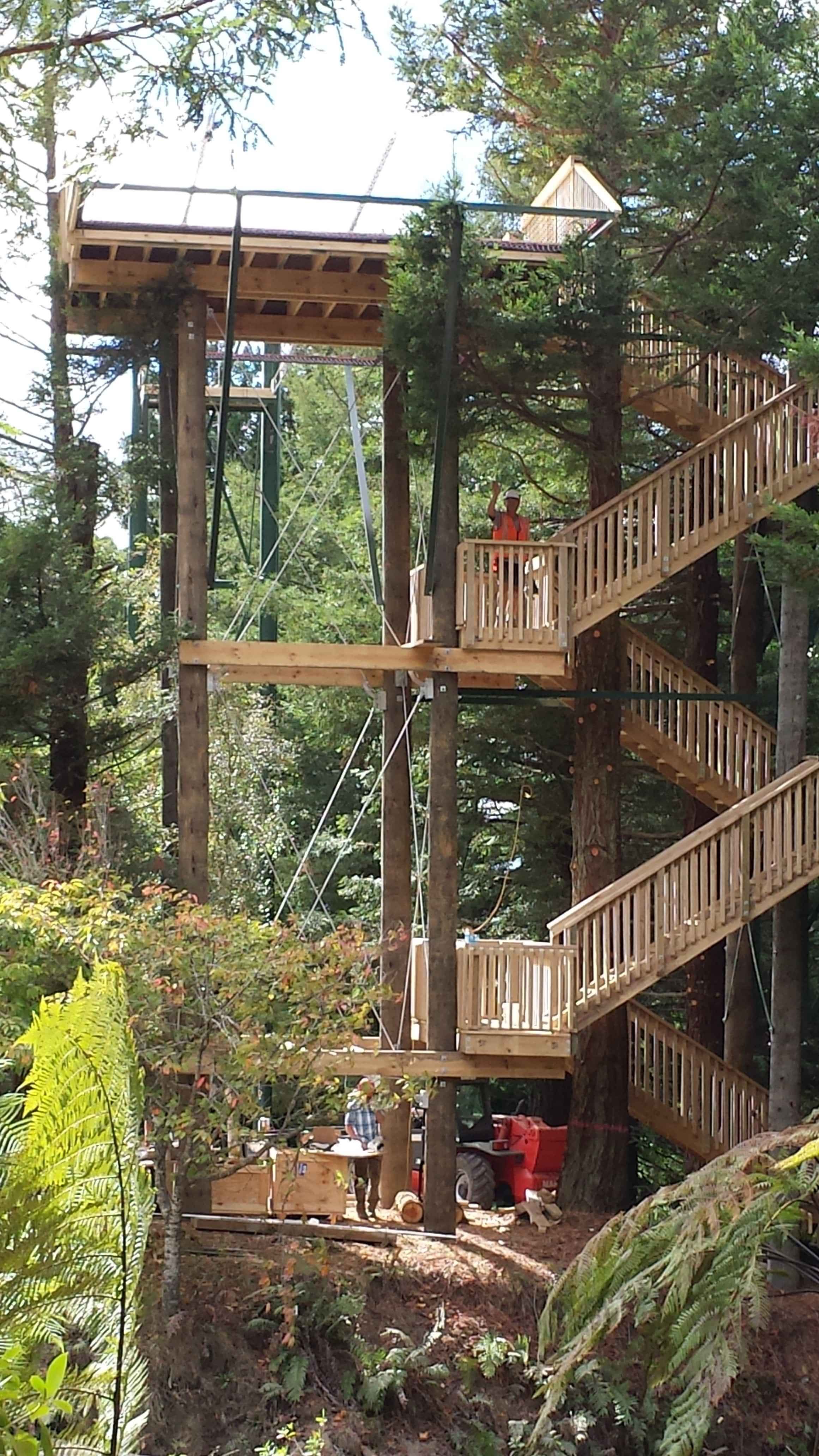 Zipline creative installation, Skyline Rotorua
