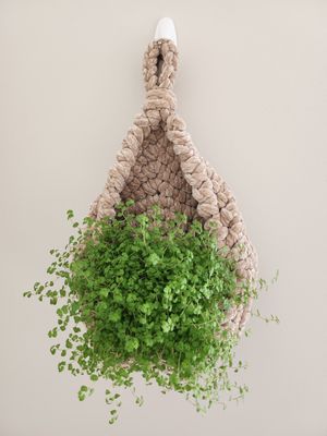 Teardrop  Pot Plant Hanger
