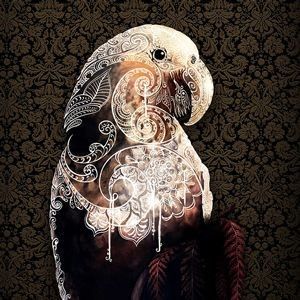 Bird prints - The Heart of the Kaka