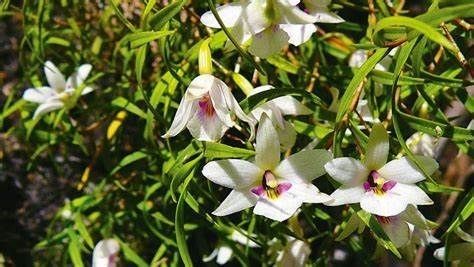 Healthcare Professionals