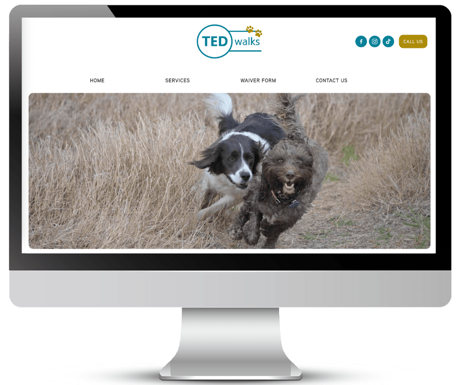 TEDwalks website - OMG Solutions