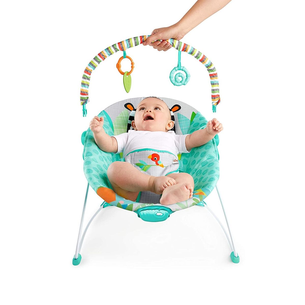 Bright Starts Vibrating Baby Bouncer