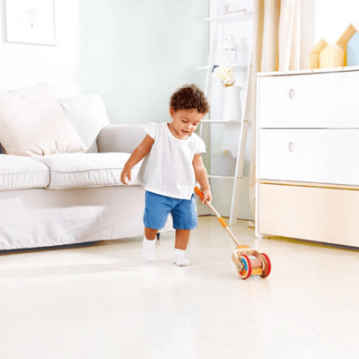 Hape Push Rainbow