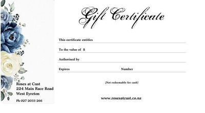 $100 Gift Voucher