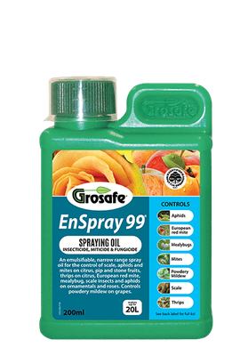 Enspray 99 200ml