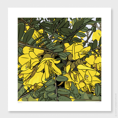 Kowhai&#039;s Joy by Anna Mollekin | Kowhai Art