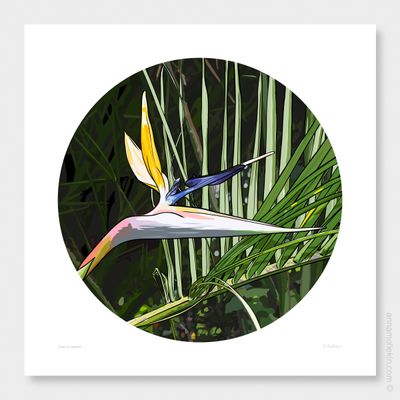 Years of Paradise by Anna Mollekin | Bird Of Paradise Print