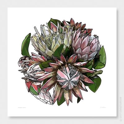 Courageous Protea by Anna Mollekin | Protea Wall Art