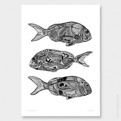 Ornate Trio Of Snapper by Anna Mollekin | Fish Wall Art