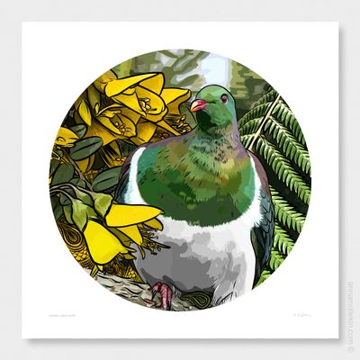 Kererū&#039;s Kōwhai Haven by Anna Mollekin | NZ Wood Pigeon Art​ Print