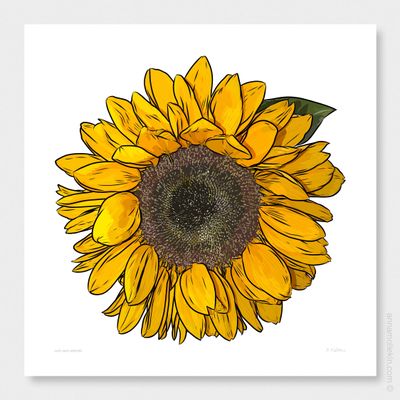 Sunflower Serenade by Anna Mollekin | Sunflower Art Print