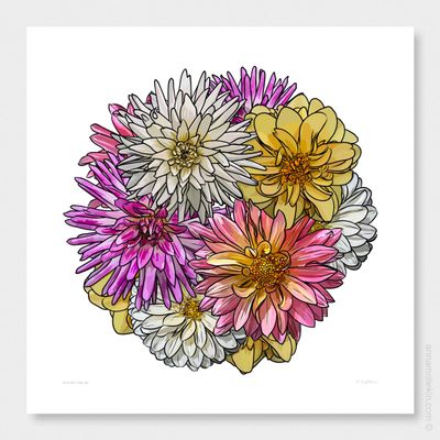 Heather&#039;s Dahlias by Anna Mollekin | Dahlia Art Print