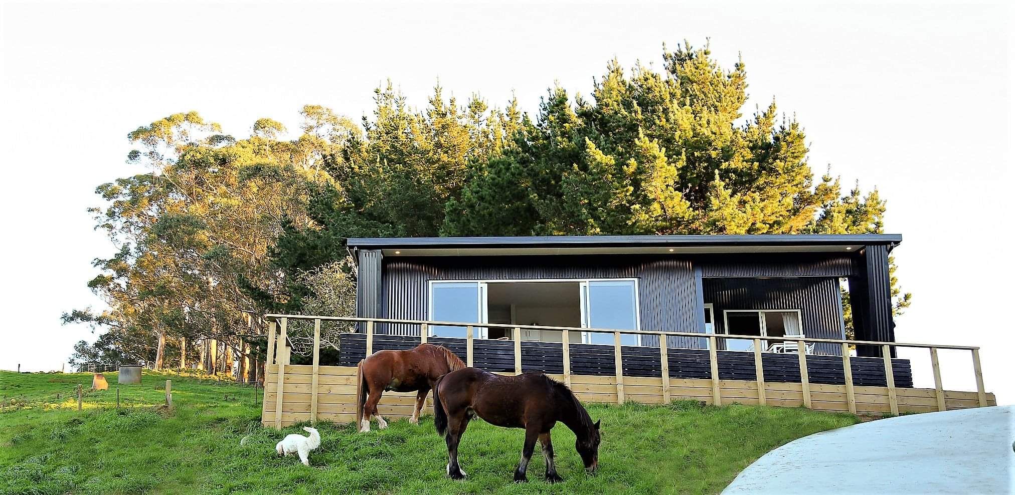 Luxury air bnb accommodation waikato setting