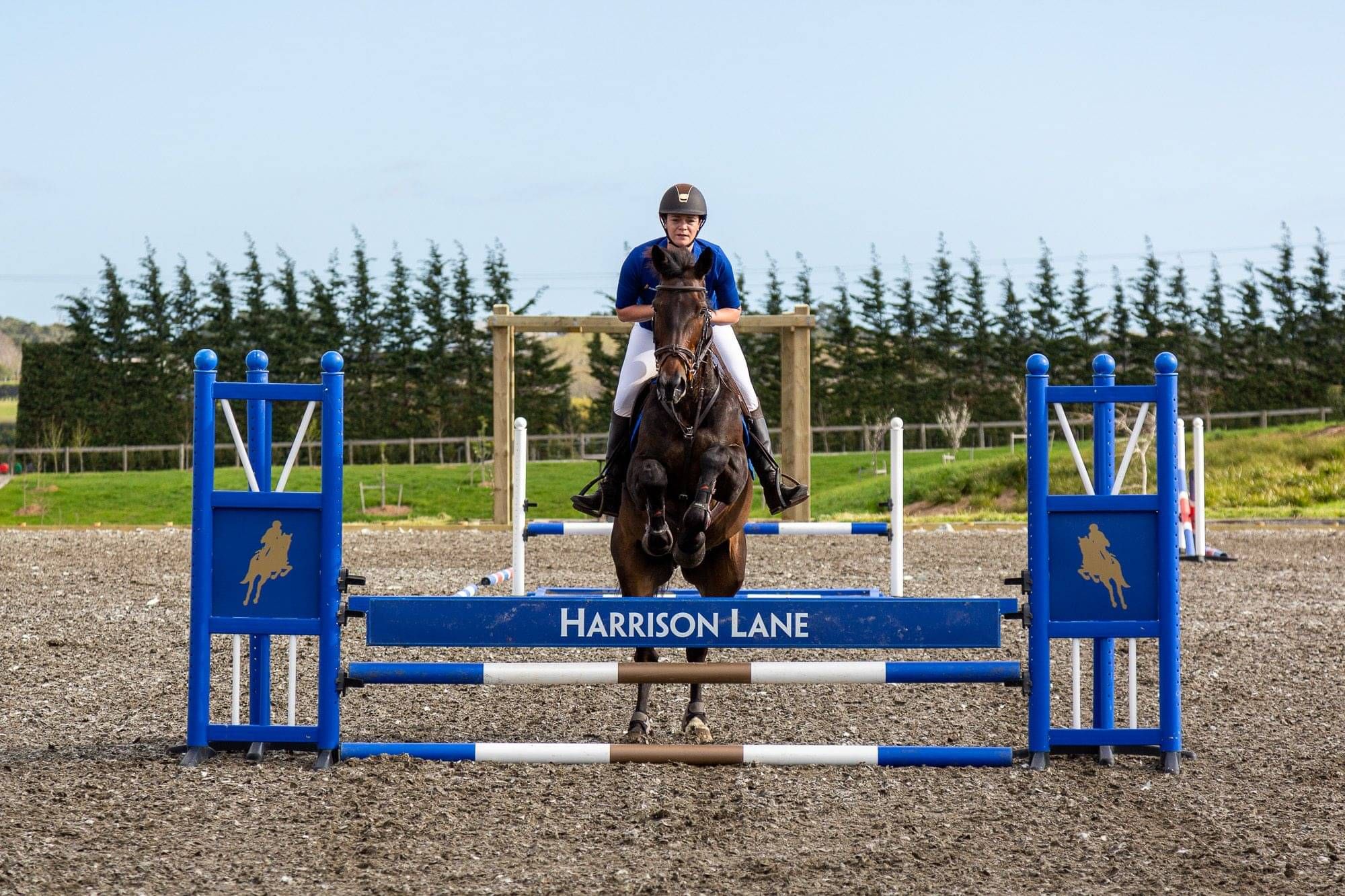 Lady and bay horse canters across Ebb and Flow arena