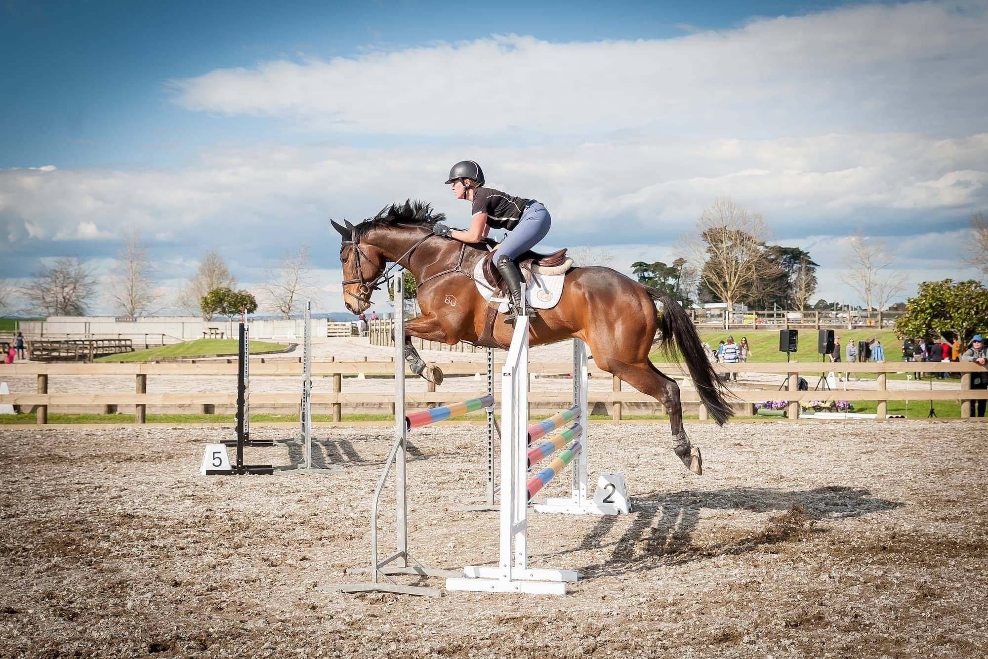Horse and rider jumping oxer fence on Abderry Equine's Ebb & Flow arena