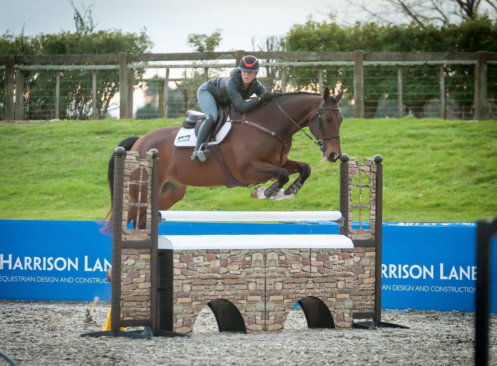 Bay Horse and female rider jumping wall fence on Abderry Equine's Ebb & Flow arena