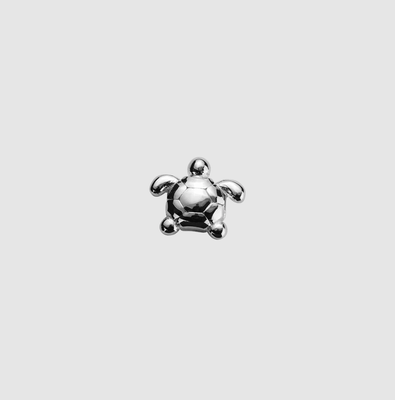 Stow Turtle Determined Silver Charm